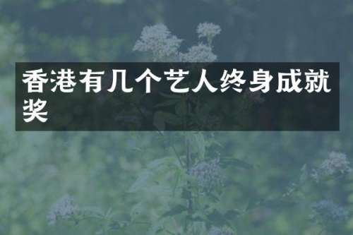 香港有几个艺人终身成就奖