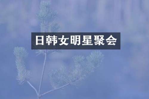 日韩女明星聚会
