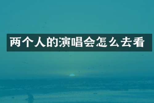两个人的演唱会怎么去看