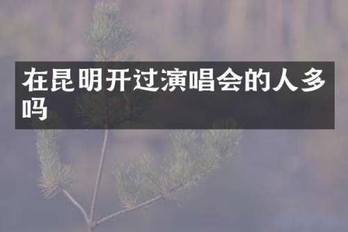 在昆明开过演唱会的人多吗