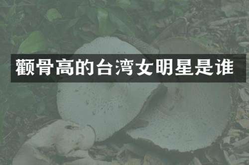 颧骨高的台湾女明星是谁