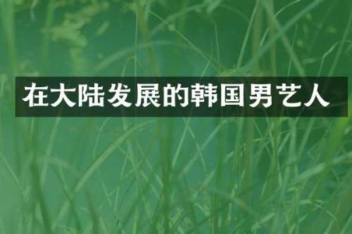 在大陆发展的韩国男艺人