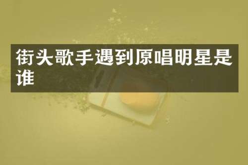 街头歌手遇到原唱明星是谁