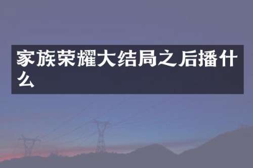 家族荣耀大结局之后播什么