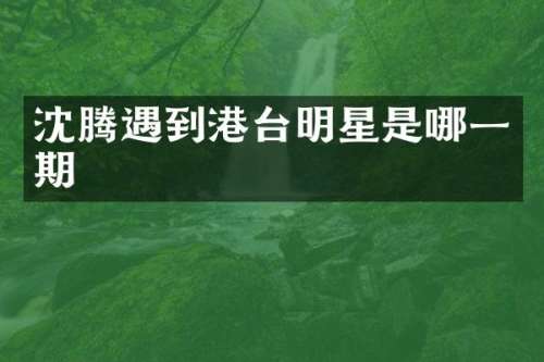 沈腾遇到港台明星是哪一期