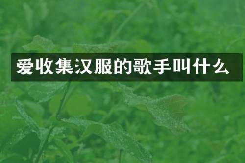爱收集汉服的歌手叫什么