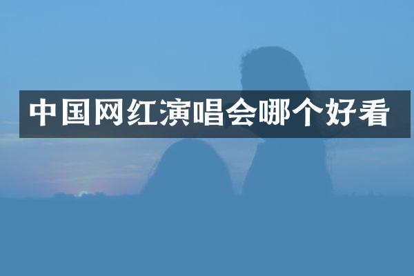 中国网红演唱会哪个好看