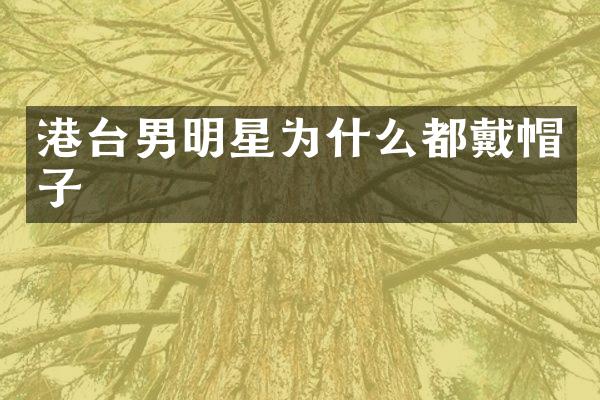 港台男明星为什么都戴帽子