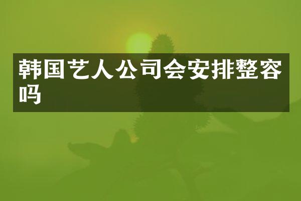 韩国艺人公司会安排整容吗