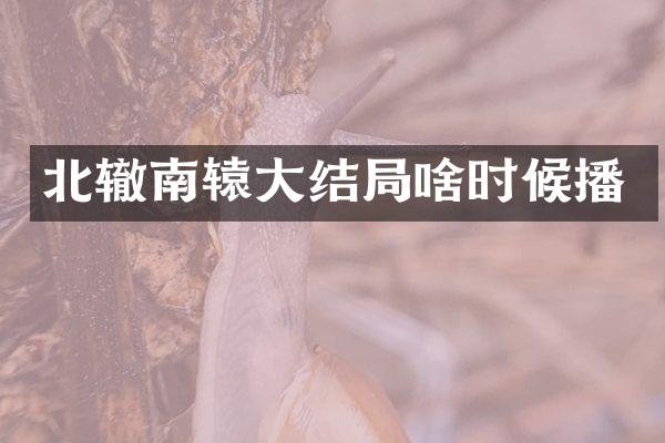 北辙南辕大结局啥时候播
