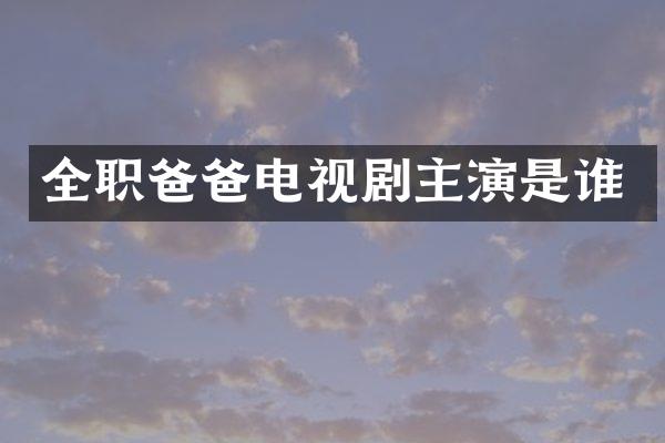 全职爸爸电视剧主演是谁