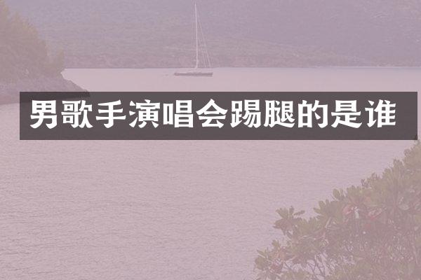 男歌手演唱会踢腿的是谁