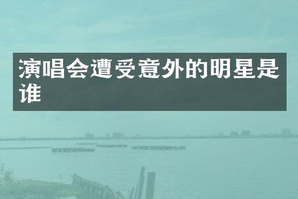演唱会遭受意外的明星是谁