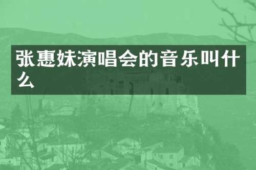 张惠妹演唱会的音乐叫什么
