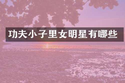功夫小子里女明星有哪些