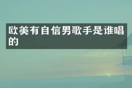 欧美有自信男歌手是谁唱的