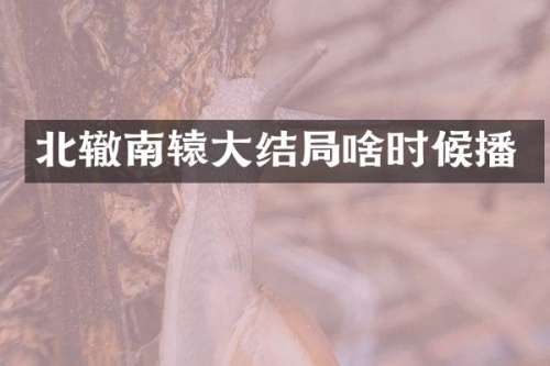 北辙南辕大结局啥时候播
