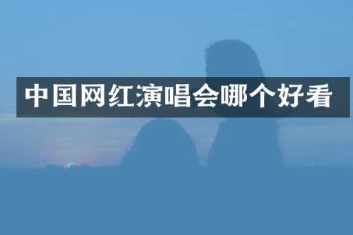 中国网红演唱会哪个好看