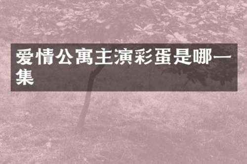 爱情公寓主演彩蛋是哪一集