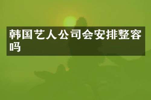 韩国艺人公司会安排整容吗