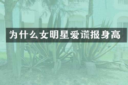 为什么女明星爱谎报身高