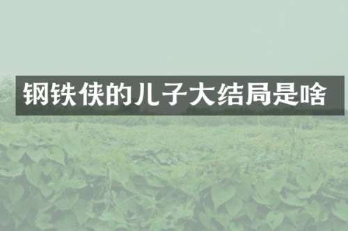 钢铁侠的儿子大结局是啥