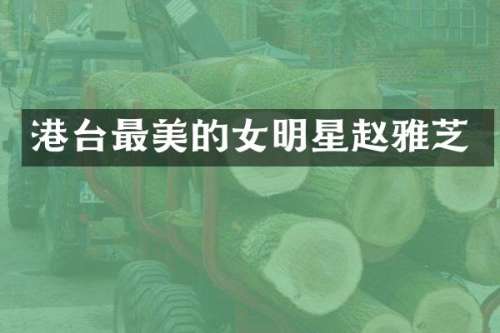 港台最美的女明星赵雅芝