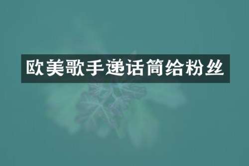 欧美歌手递话筒给粉丝