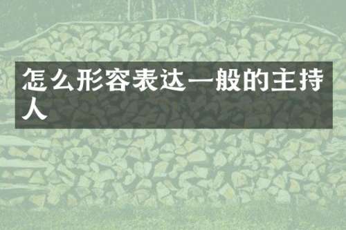 怎么形容表达一般的主持人