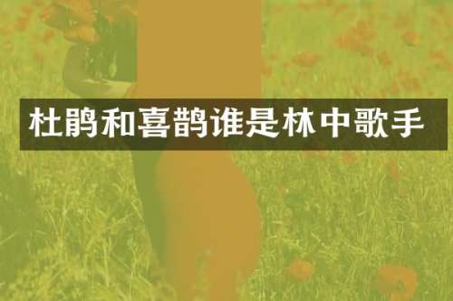 杜鹃和喜鹊谁是林中歌手