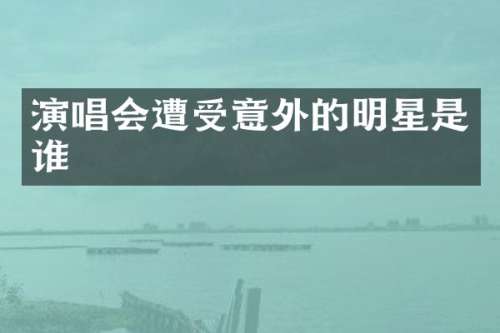 演唱会遭受意外的明星是谁