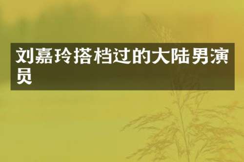 刘嘉玲搭档过的大陆男演员