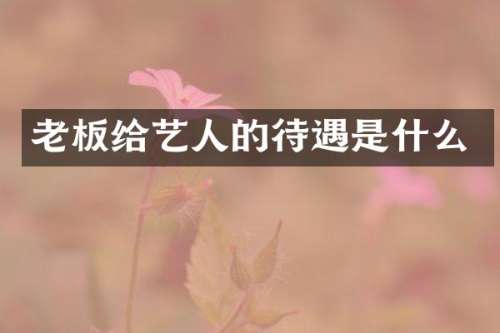老板给艺人的待遇是什么