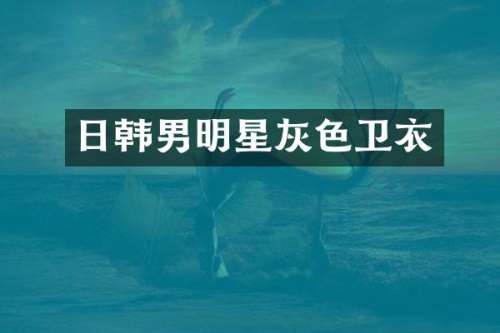 日韩男明星灰色卫衣