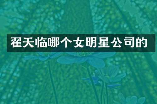 翟天临哪个女明星公司的
