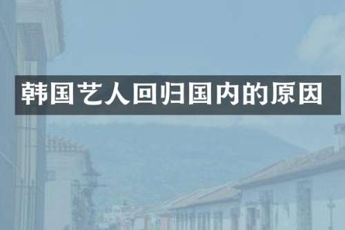 韩国艺人回归国内的原因