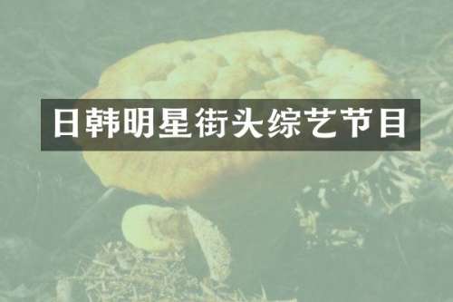 日韩明星街头综艺节目