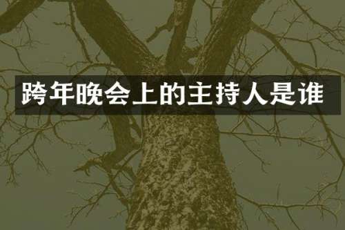 跨年晚会上的主持人是谁