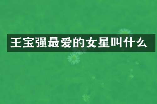 王宝强最爱的女星叫什么
