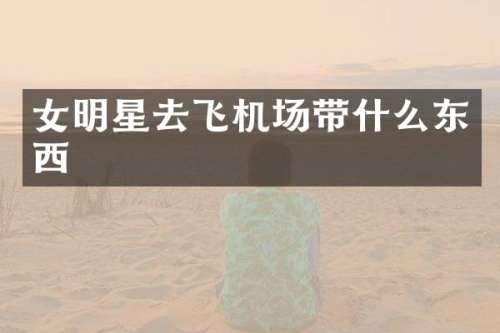 女明星去飞机场带什么东西