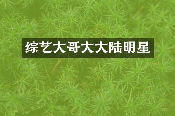 综艺大哥大大陆明星