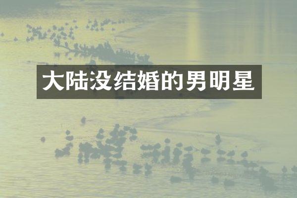 大陆没结婚的男明星