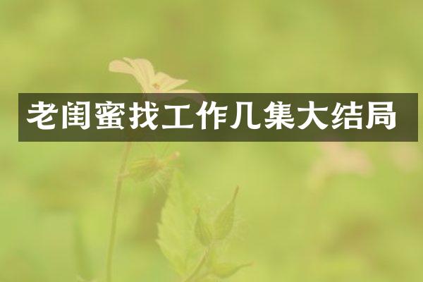 老闺蜜找工作几集大结局