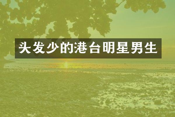 头发少的港台明星男生