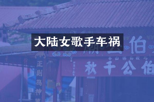 大陆女歌手车祸