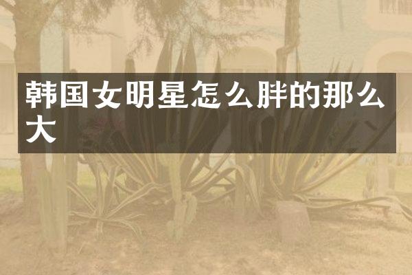 韩国女明星怎么胖的那么大