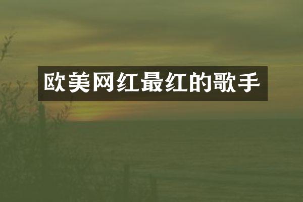欧美网红最红的歌手