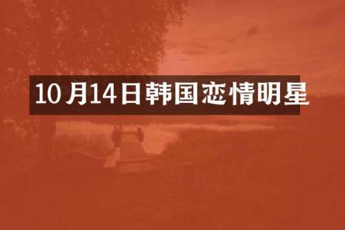 10月14日韩国恋情明星
