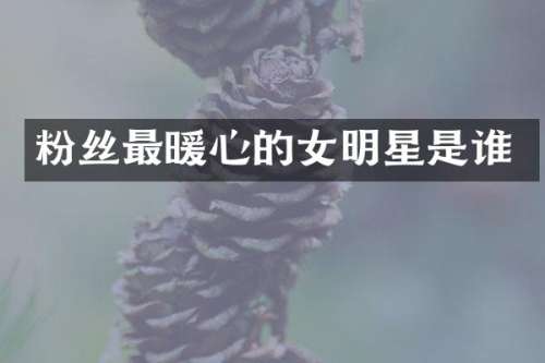 粉丝最暖心的女明星是谁