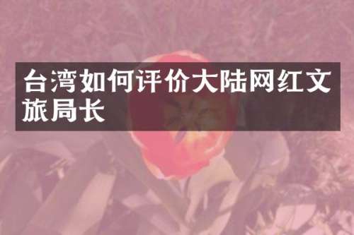 台湾如何评价大陆网红文旅局长